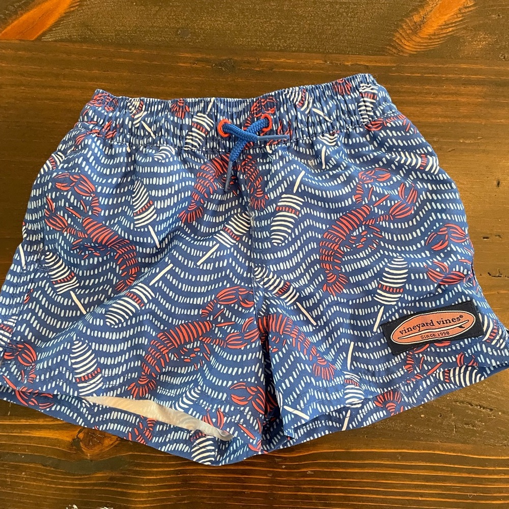 Vineyard Vines Bathing Suit 12-18 Months